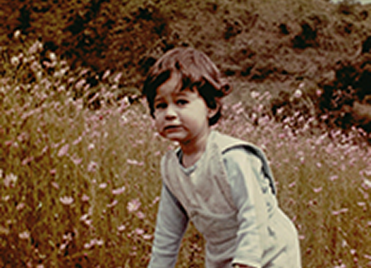 Imagen representativa del proyecto Es como si nunca hubiera existido